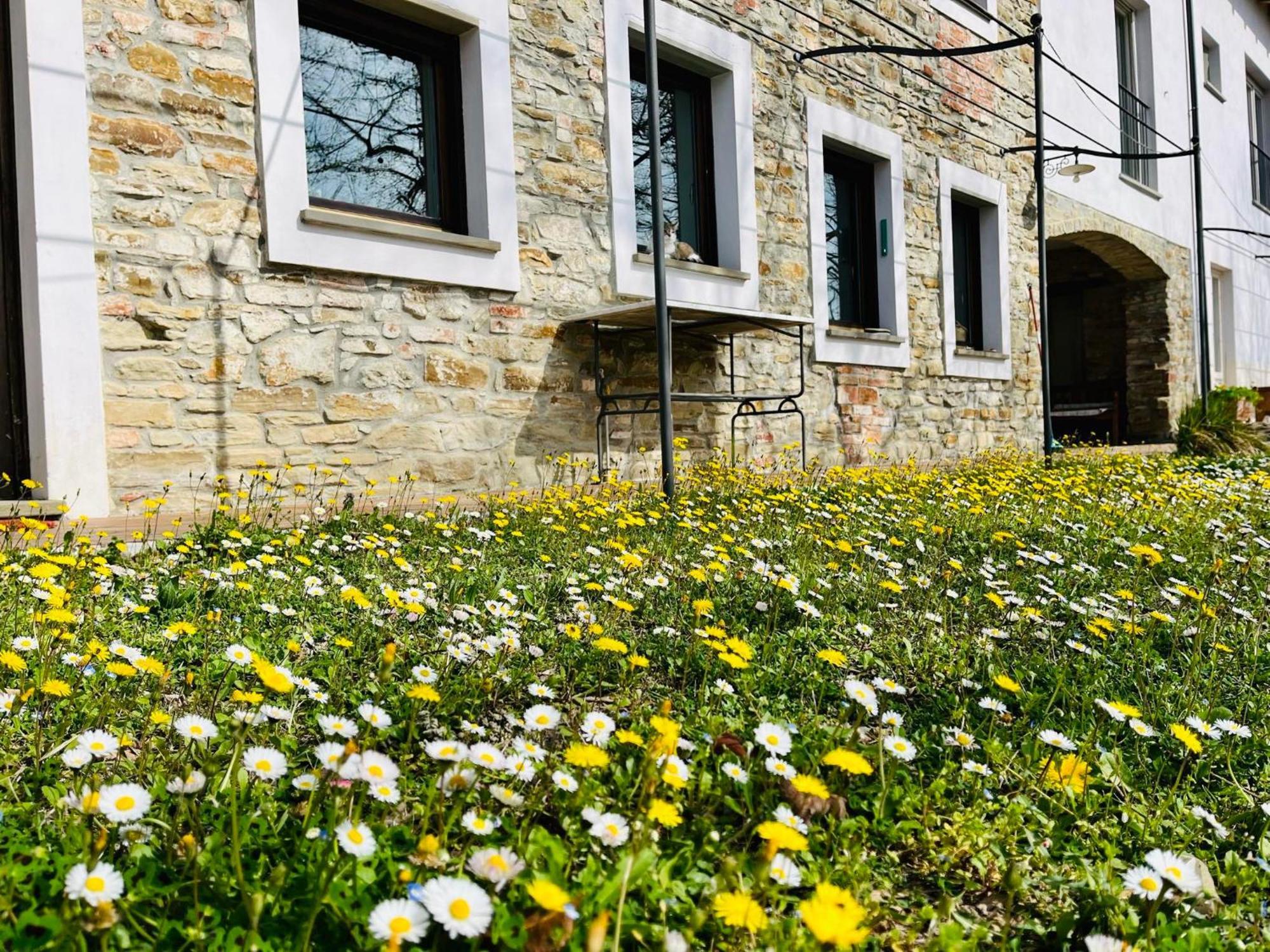 B&B Al Giardino Dei Mandorli Prasco Buitenkant foto